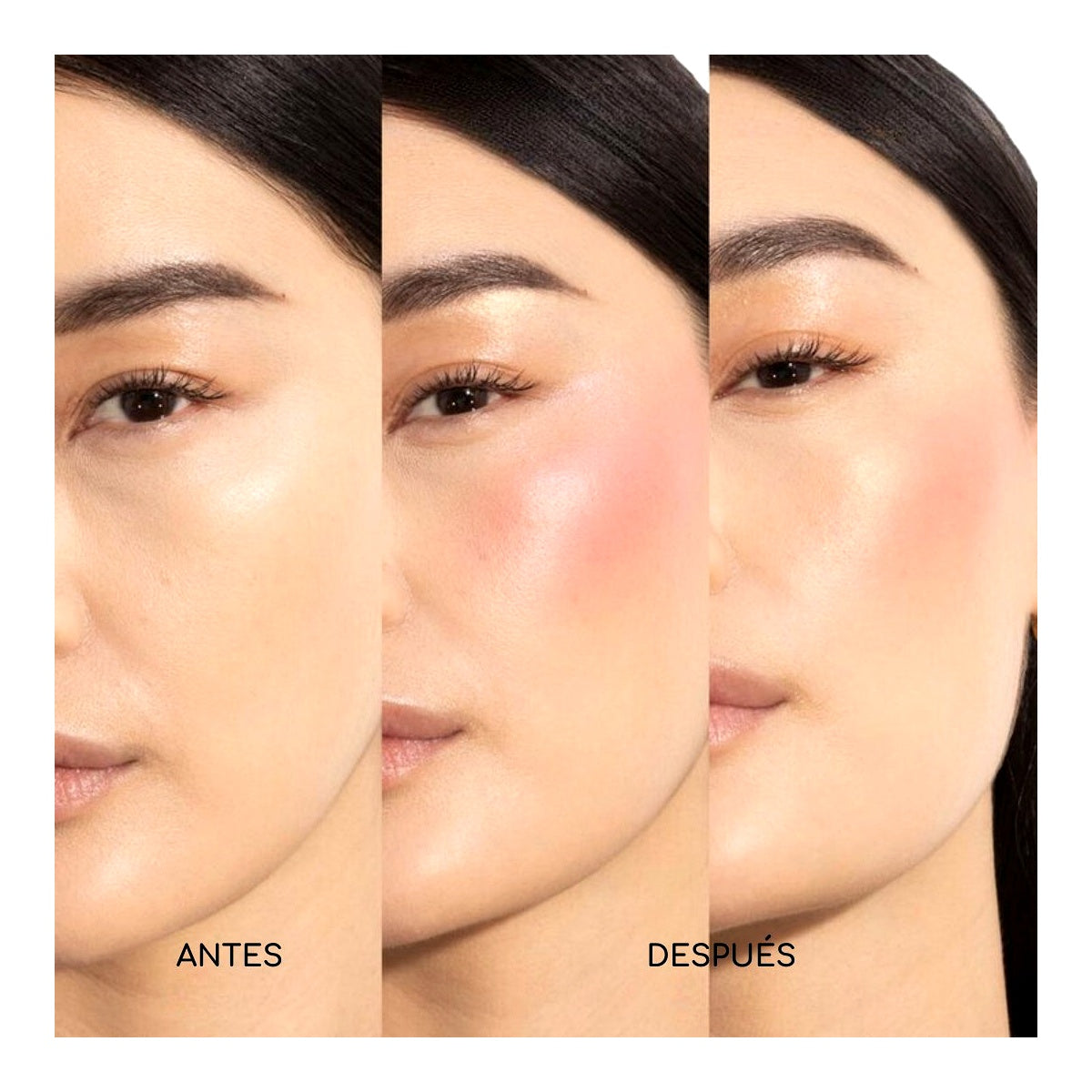 Golden Oasis Face Palette